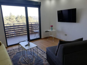 Apartment Violet Zlatibor